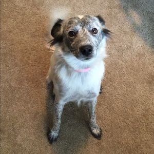 Meet your Posher, Jack